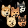 flat750x075f pad750x750f8f8f8 14 - Shiba Inu Gifts