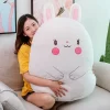 40 80cm Kawaii Animal Shiba Inu Dinosaur Rabbit Mouse Plush Toys Cartoon Stuffed Soft Pillow Back 3 - Shiba Inu Gifts Store