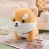 shiba-inu