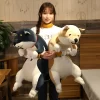 Cute Shiba Inu Dog Plush Toys Cartoon Long Cat Stuffed Animals Sleep Pillow Boyfriend Office Huggable 4 - Shiba Inu Gifts Store