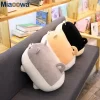 New 40 50cm Cute Shiba Inu Dog Plush Toy Stuffed Soft Animal Corgi Chai Pillow Christmas 3 - Shiba Inu Gifts Store