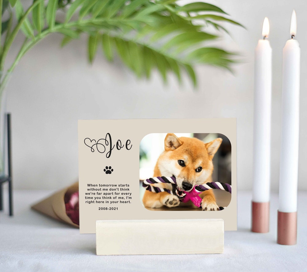 Personalized Cute Shiba Inu Memorial Plaques - Shiba Inu Gifts