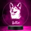 il 1000xN.5901552624 qksi - Shiba Inu Gifts